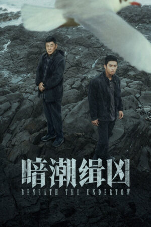 Image Hachi: A Dog's Tale