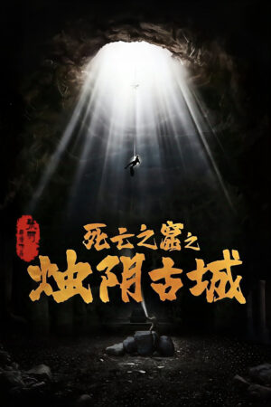Image Hachi: A Dog's Tale
