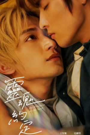 Image Hachi: A Dog's Tale